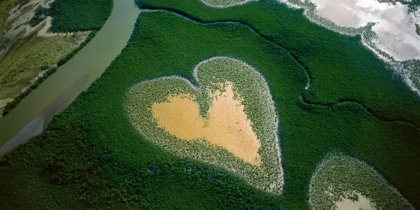 Le Cœur de Voh, mangrove de Nouvelle-Calédonie